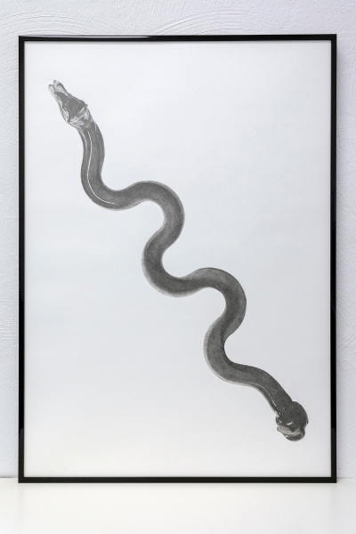 吳權倫「牧羊犬與其他 」創作作品：《Weave Poles》，紙、鉛筆，84X59.4 cm，2018